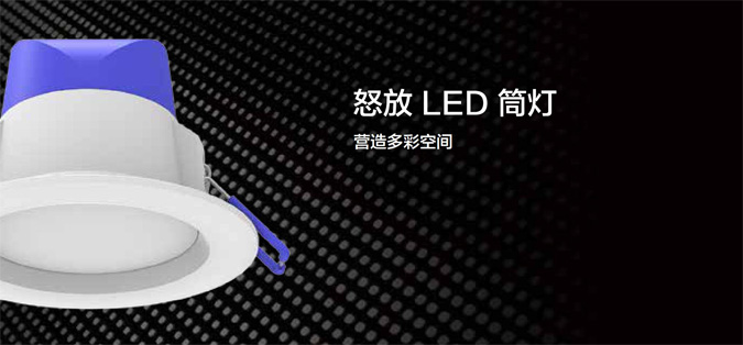 综合照明灯具一